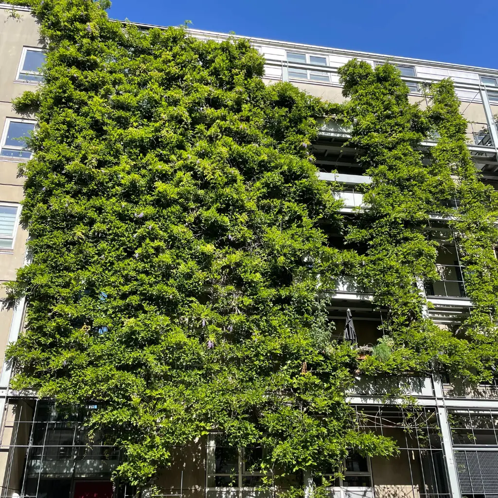 végétalisation urbaine