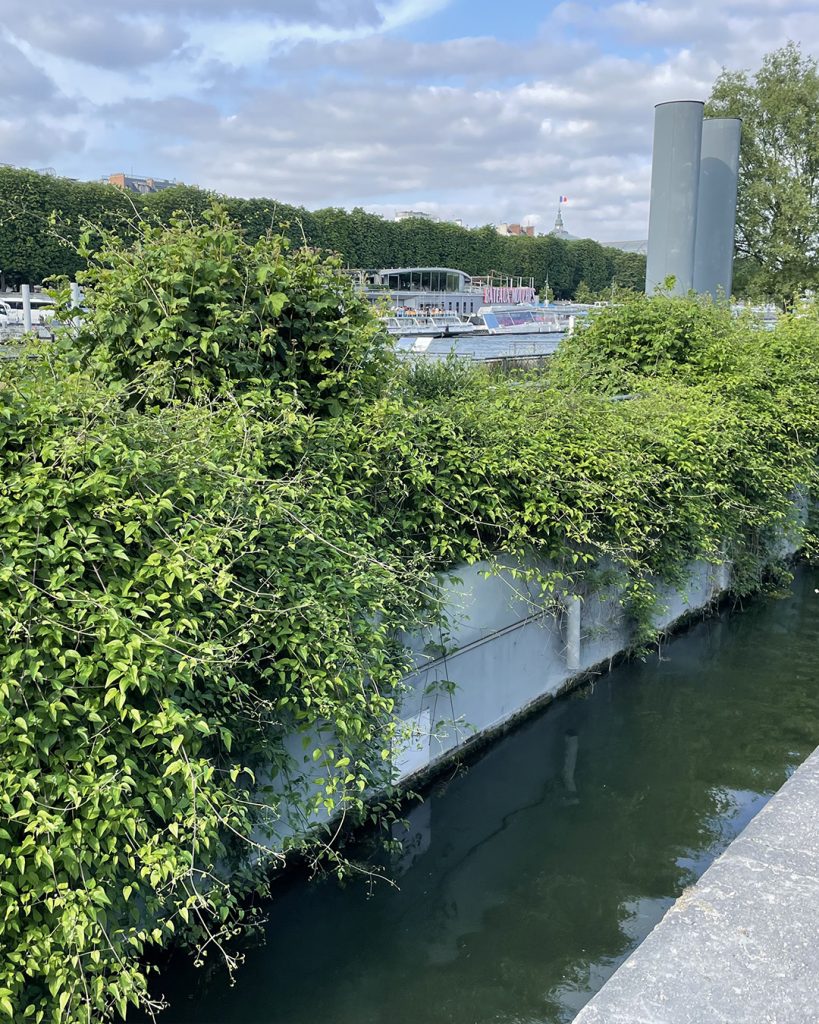 Biodiversité urbaine - Cycle de l'eau