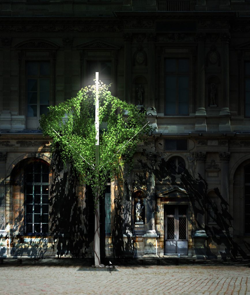 Candelarbre Linne Paysage