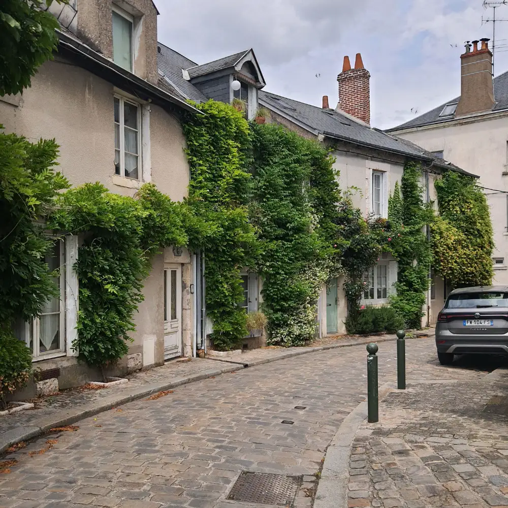 grimpantes en ville orléans