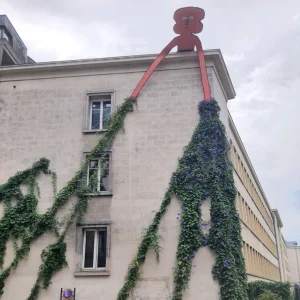 plante grimpante végétalisation urbaine