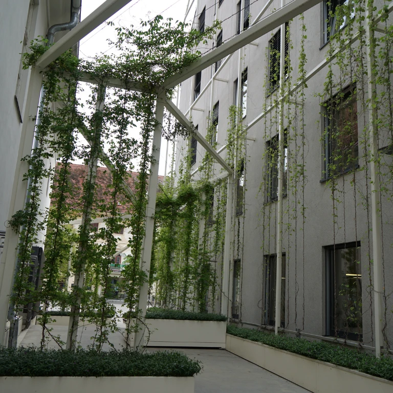 façade végétalisée biodiversité 3
