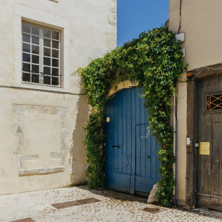 façade végétalisée pour rafraîchir un bâtiment